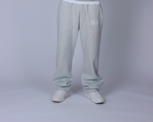 Pants Grey